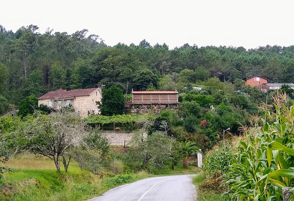 Hórreo do Reguengo - Valga - San Salvador de Setecoros