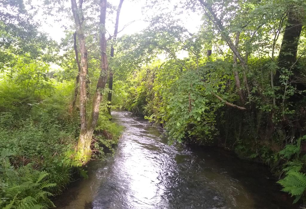 Insua de Casadamil - Valga - San Miguel de Valga