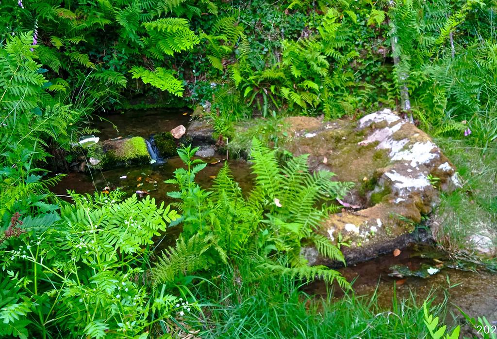 Lavadoiro do rego do Pico - Rianxo - Santa María de Leiro