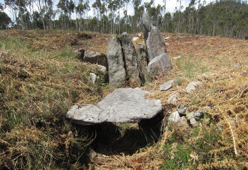 Mámoa Nº 6 dos Campiños - Rianxo - Santa María de Leiro