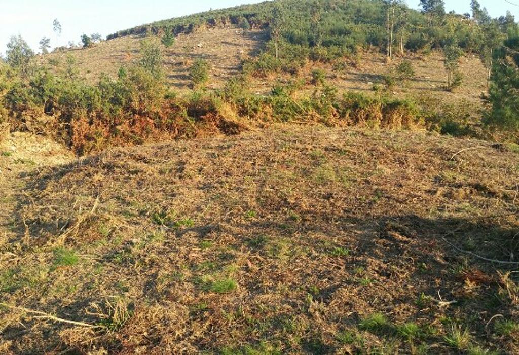 Mámoa de Foxacos - Rianxo - Santa Baia do Araño