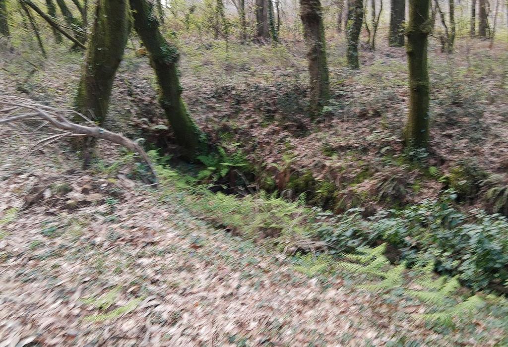 Manancial de Rialiño - Dodro - San Xián de Laíño