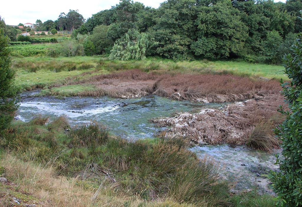Mar Pequeno - Vilagarcía de Arousa - San Xens de Bamio