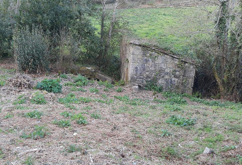 Muíño Nº 1 de Portanchiño - Dodro - San Xián de Laíño