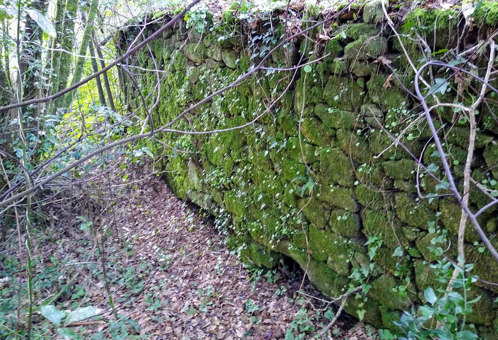 Muíño Nº 2 de Pedras Rubias - Valga - Santa María de Xanza