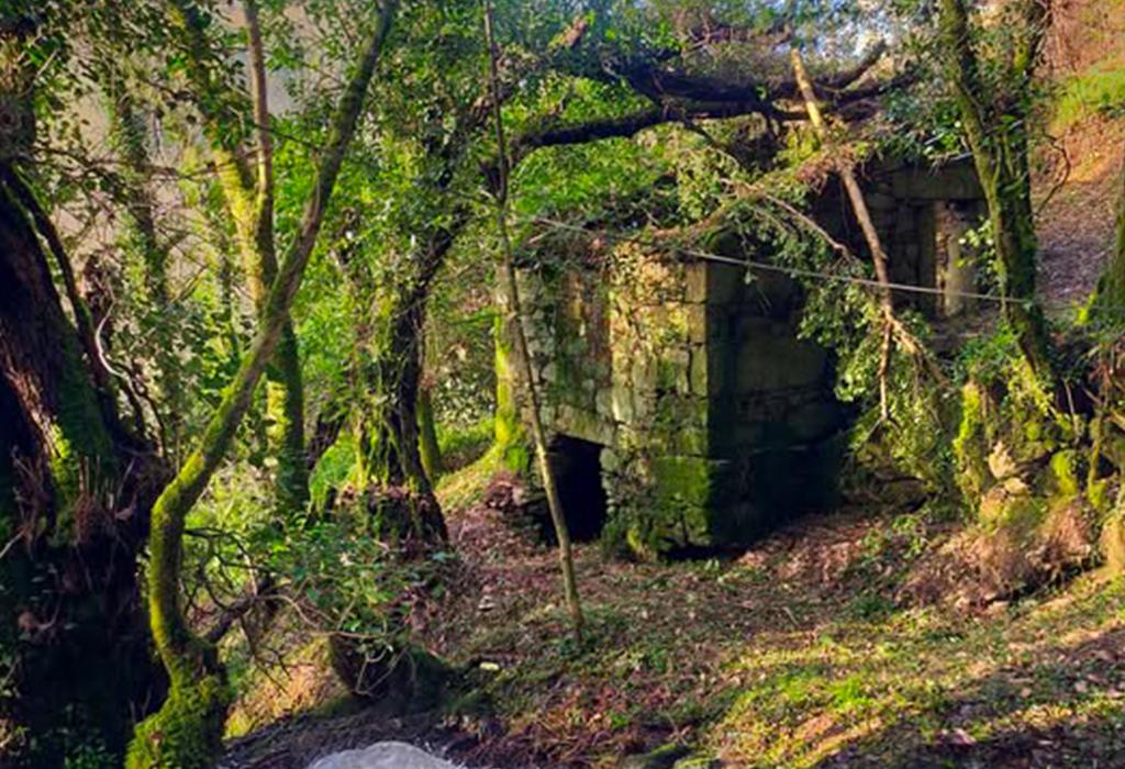 Muíño Novo - Padrón - San Pedro de Carcacía