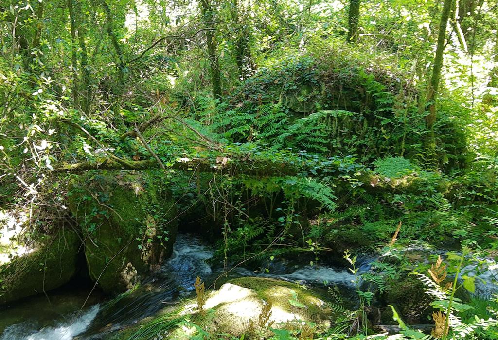 Muíño Tellado - Dodro - San Xoán de Laíño