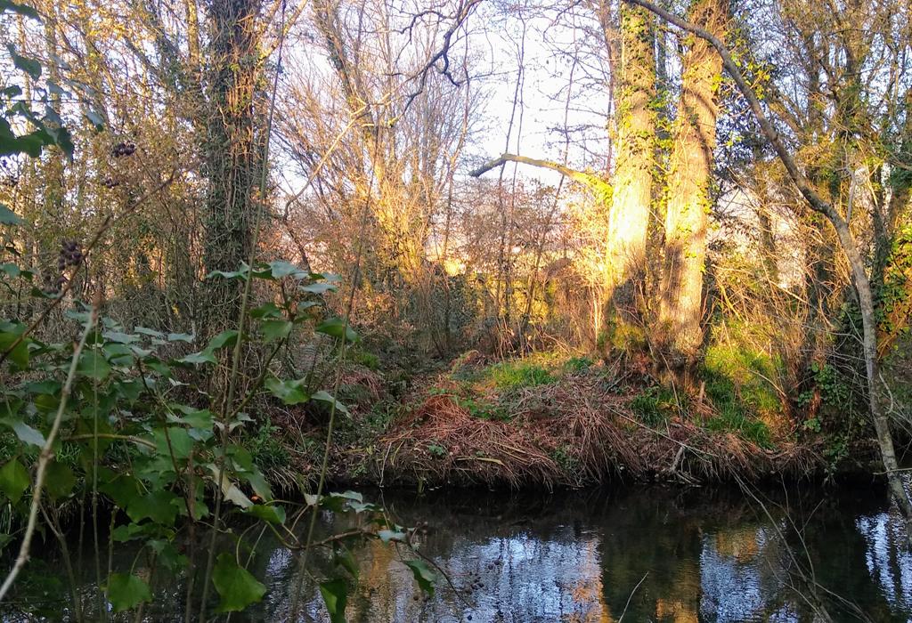 Muíño da Veiga do Río - Valga - San Miguel de Valga