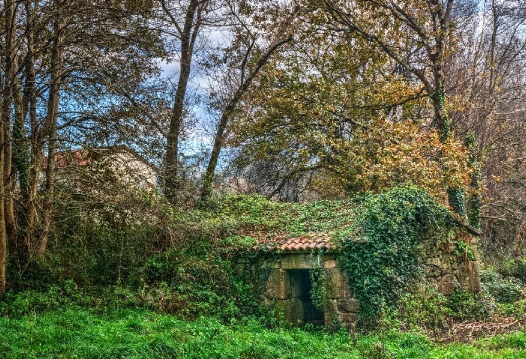 Muíño da Viúva - Catoira - San Pedro de Dimo