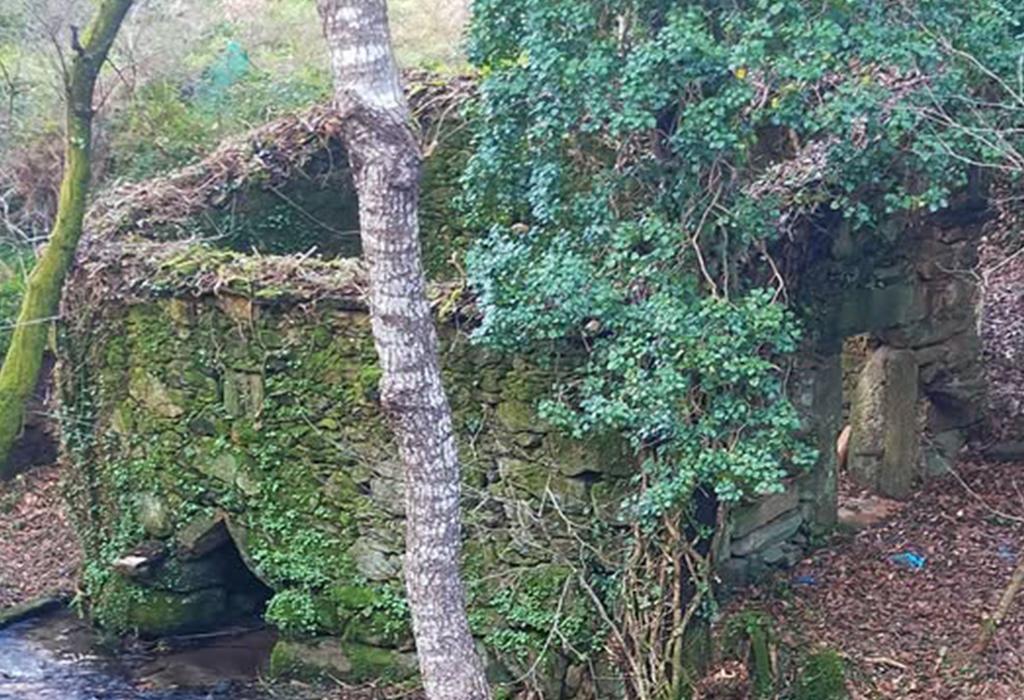 Muíño das Almas - Padrón - San Pedro de Carcacía