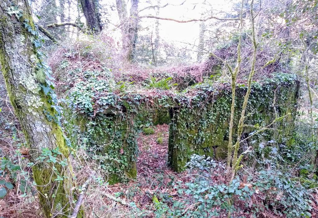 Muíño de Pardal - Valga - San Miguel de Valga