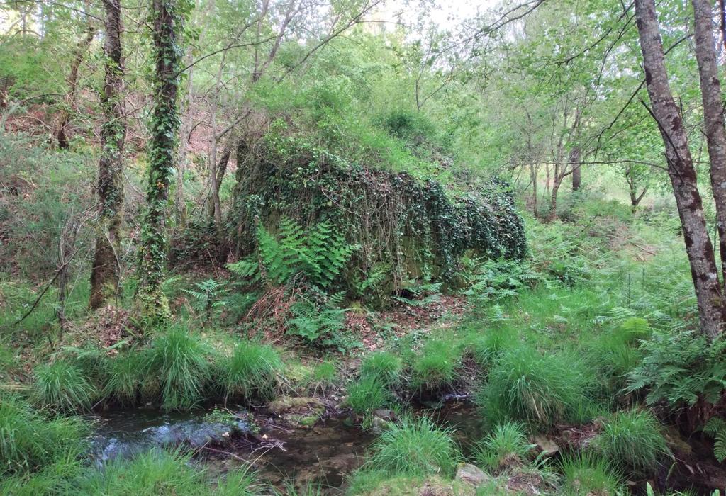 Muíño de San Salvador - Catoira - San Pedro de Dimo