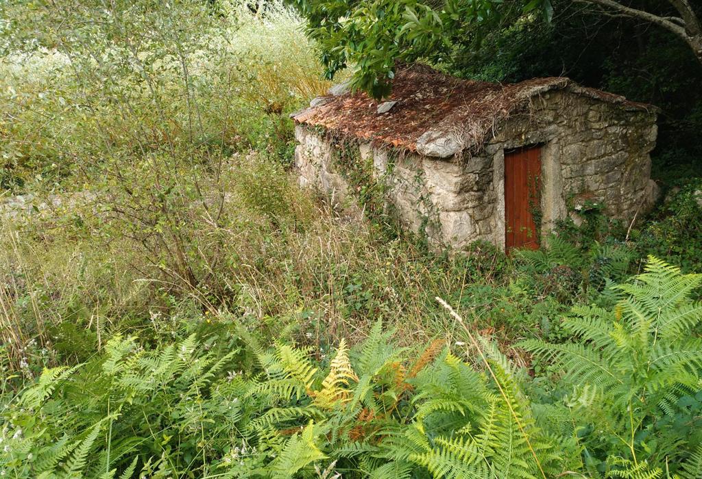 Muíño de Sestelo - Rianxo - Santa María de Isorna