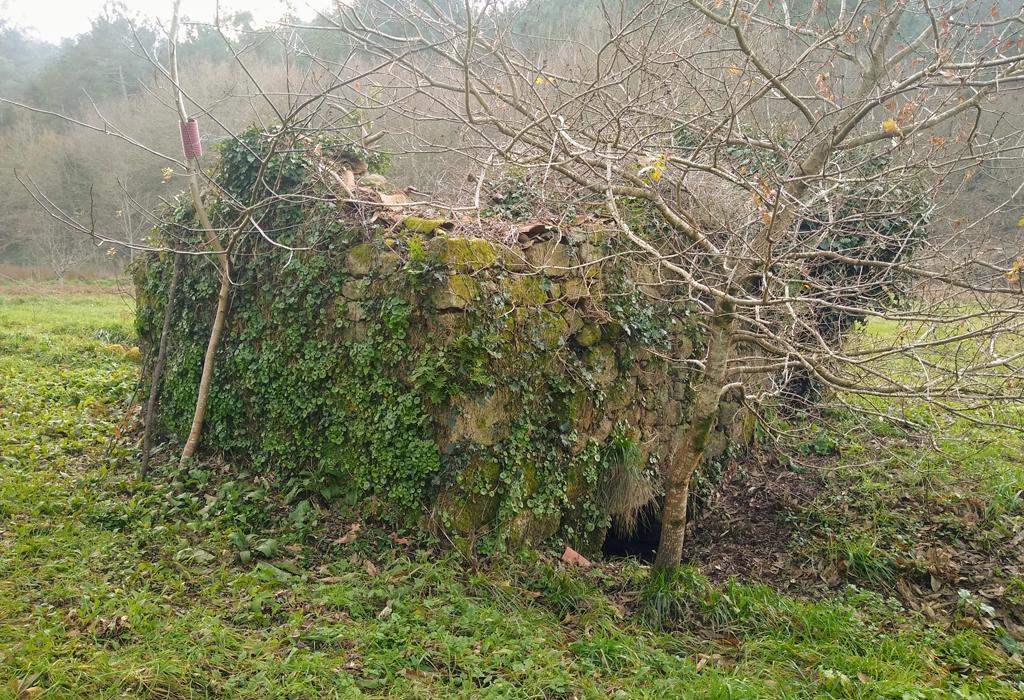Muíño do Agrelo - Valga - San Miguel de Valga