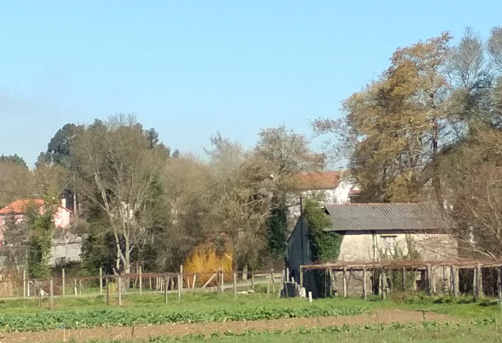 Muíño do Carballiño - Valga - Santa María de Xanza