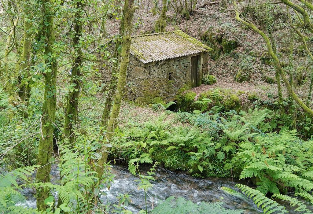 Muíño do Freixo - Dodro - San Xoán de Laíño
