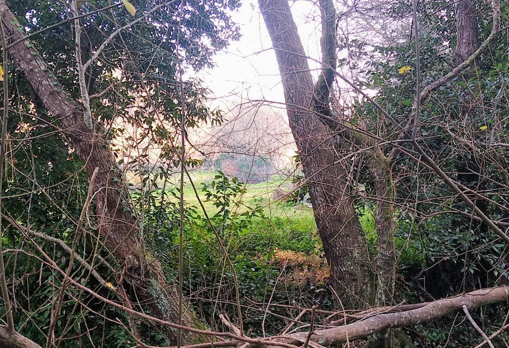 Muíño do Naval - Valga - San Miguel de Valga