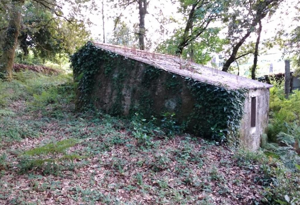 Muíño do rego de Bacelo - Rianxo - Santa María de Isorna