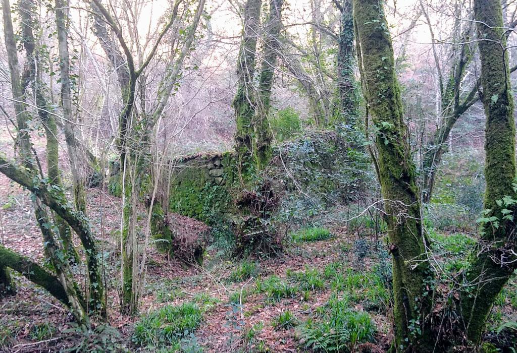 Muíño dos Neira - Valga - Santa María de Xanza