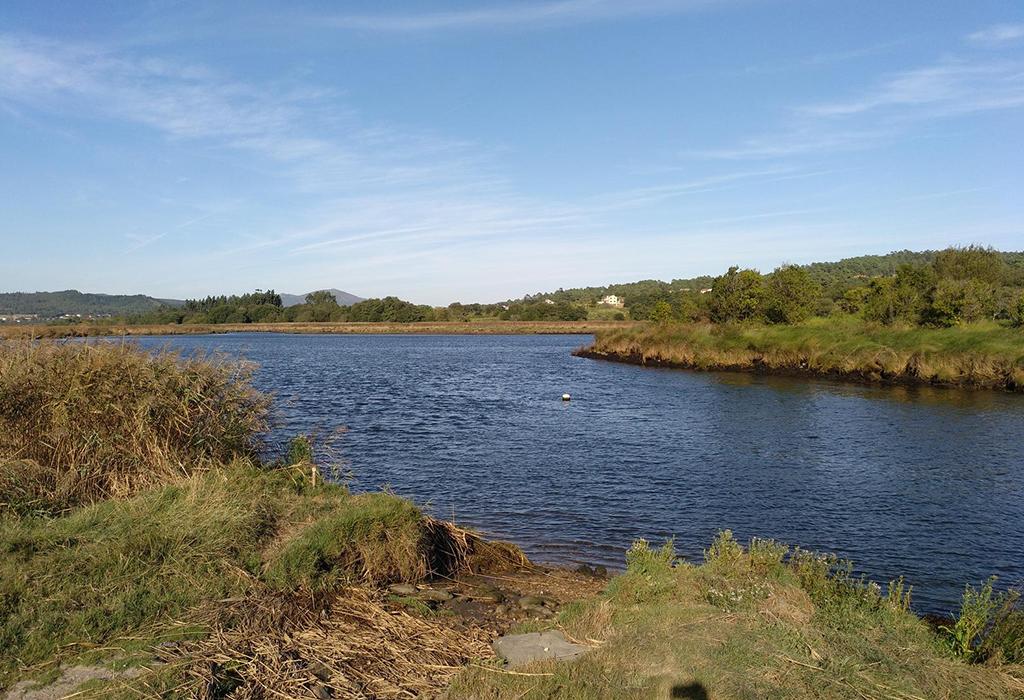 Panorámica do Bico de Bexo - Dodro - San Xoán de Laíño