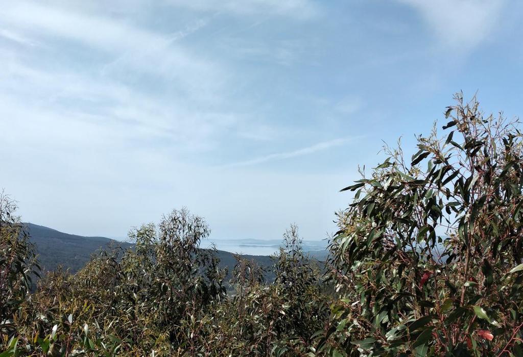 Panorámica do Outeiro de Cachán - Catoira - San Pedro de Dimo