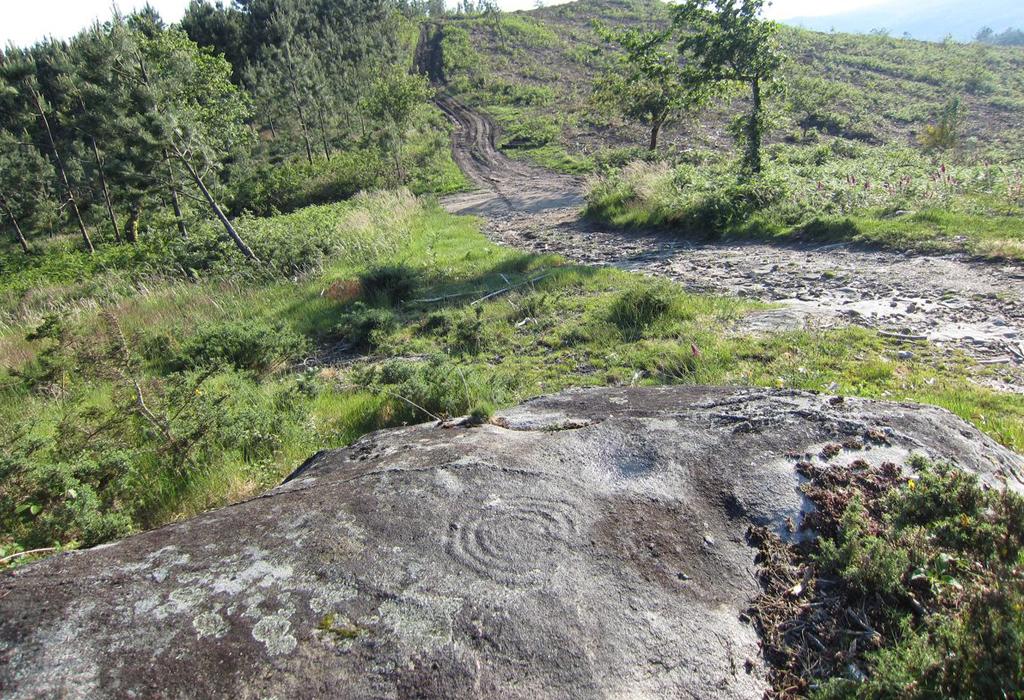 Petróglifo da Devesa dos Mouchos - Dodro - San Xoán de Laíño