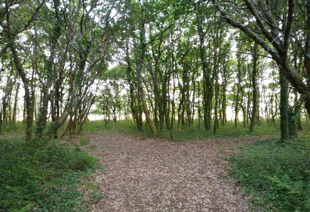 Pinal da Braña - Dodro - San Xián de Laíño