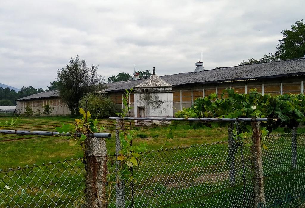 Pombal da Gándara - Valga - Santa Comba de Cordeiro