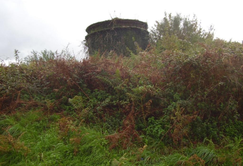 Pombal da Viña - Dodro - San Xoán de Laíño