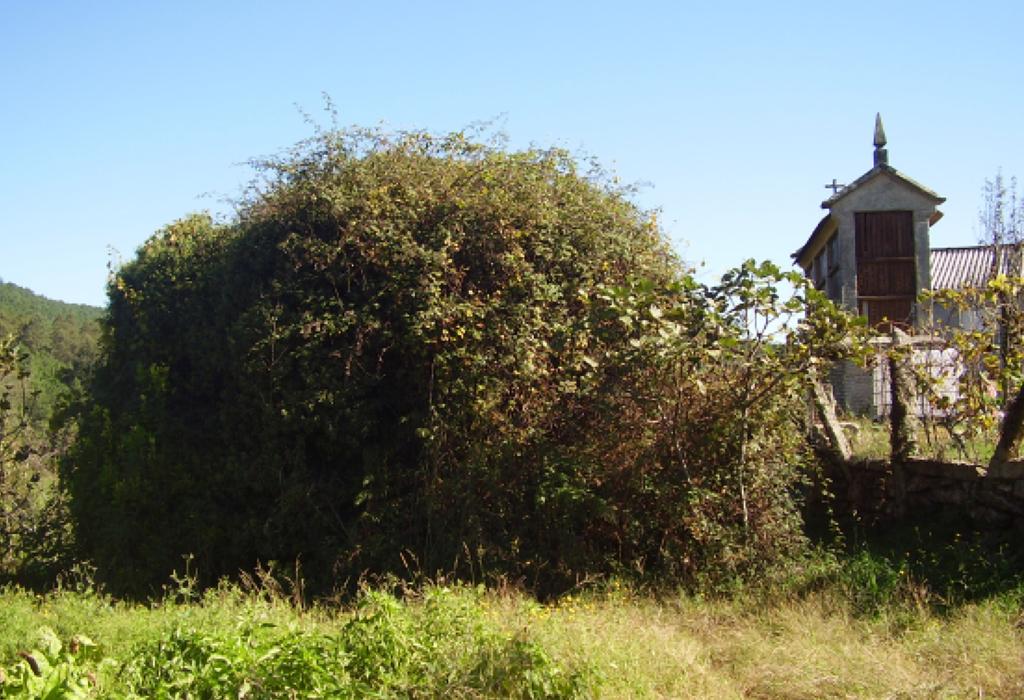 Pombal de Rialiño - Dodro - San Xián de Laíño