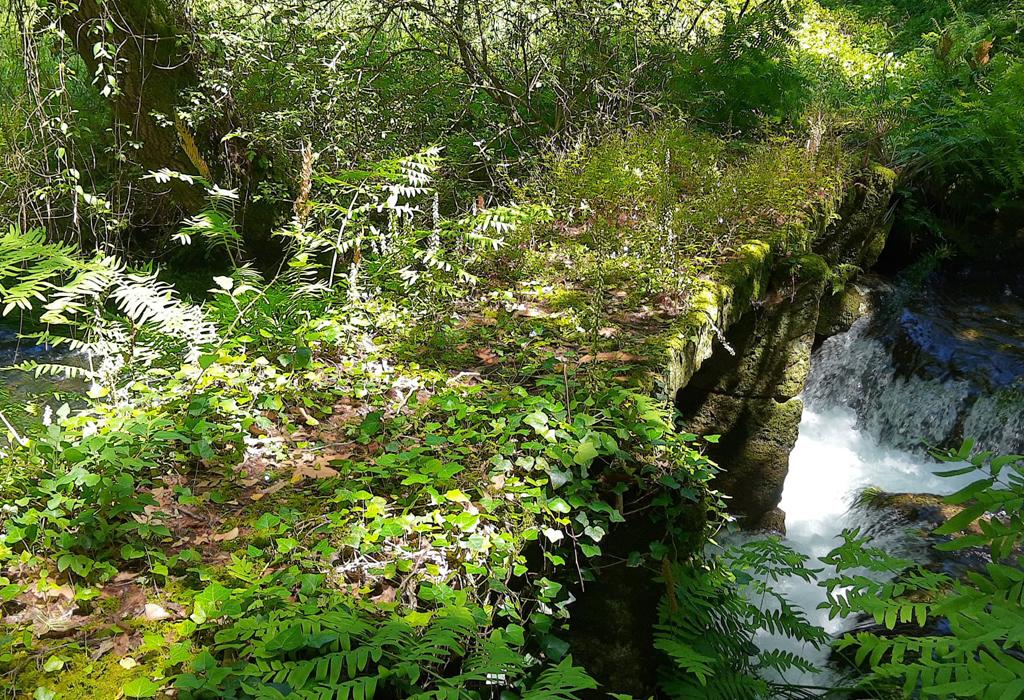 Pontella do Muíño Tellado - Dodro - San Xoán de Laíño