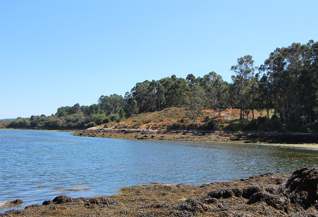 Punta Canteira - Vilagarcía de Arousa - San Xens de Bamio