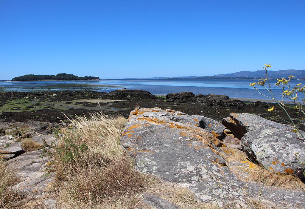 Punta Remuíño - Vilagarcía de Arousa - San Xens de Bamio