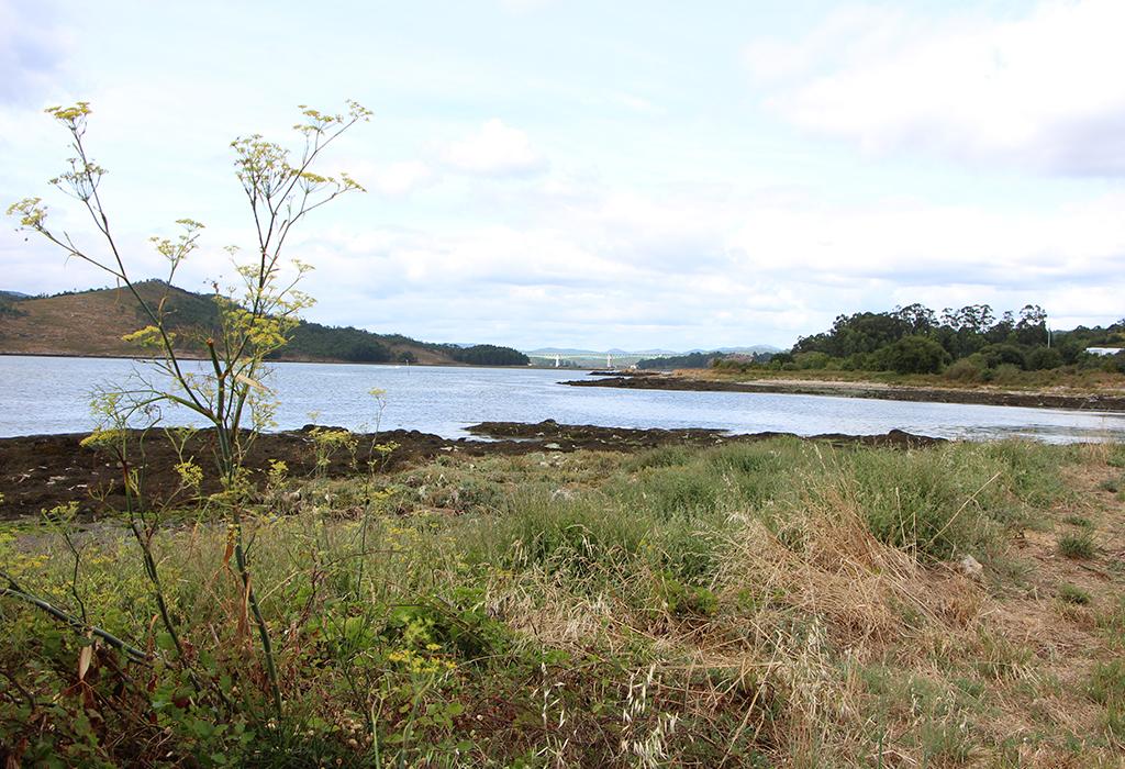 Punta do Rego - Vilagarcía de Arousa - San Xens de Bamio
