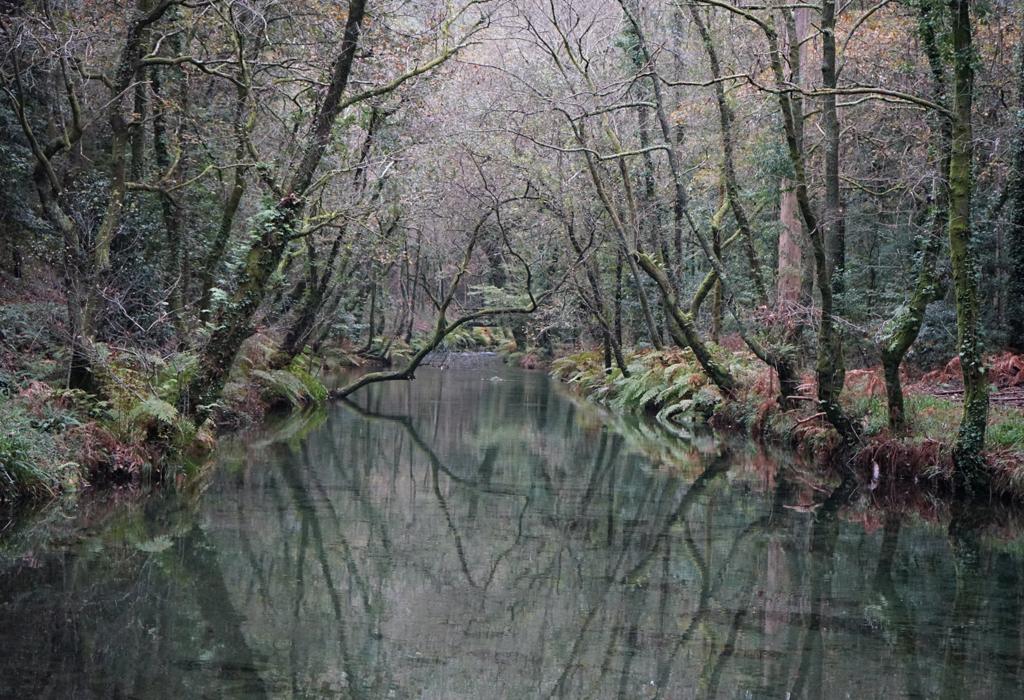 Río Té - Rianxo - Santa María de Asados