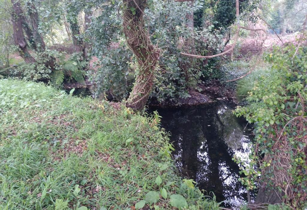 Río de San Lufo - Dodro - Santa María de Dodro