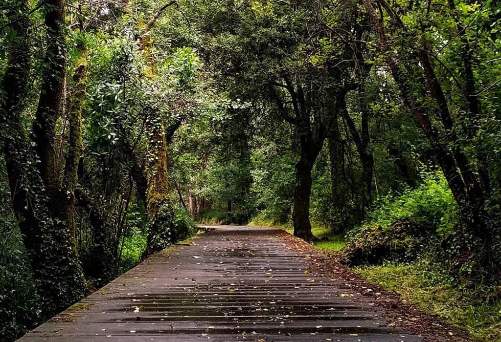 Ruta do Pai Sarmiento - Catoira