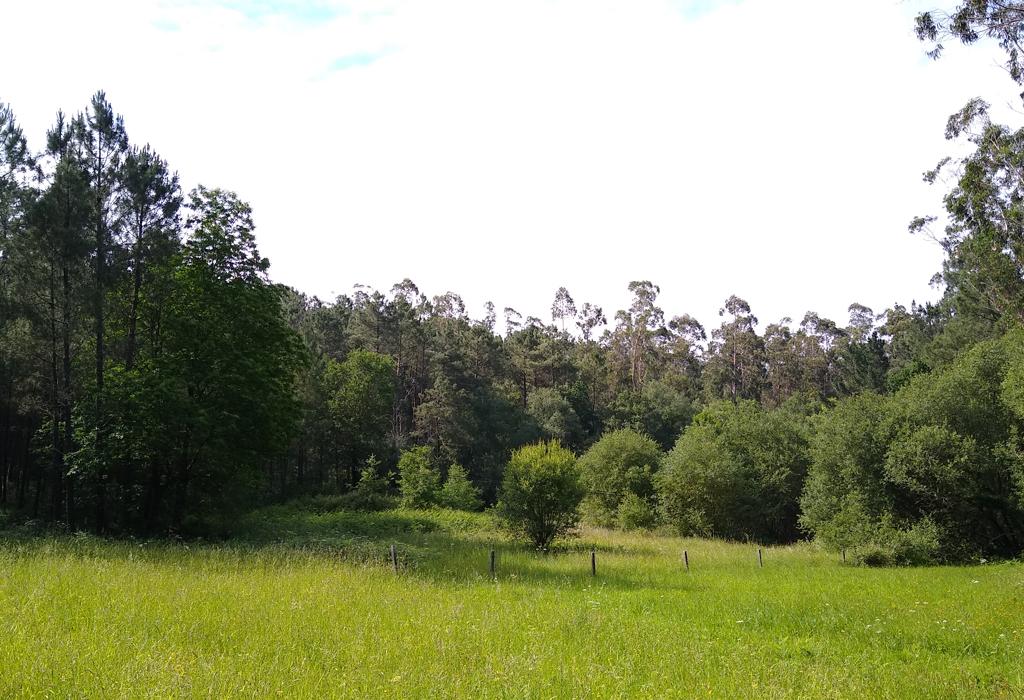 Túmulo dos Martores - Valga - San Miguel de Valga