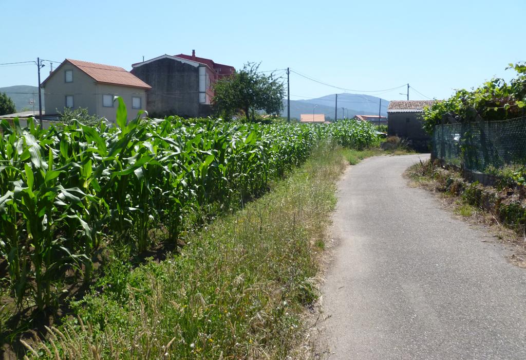 Telleira da Torre - Valga - Santa Cristina de Campaña