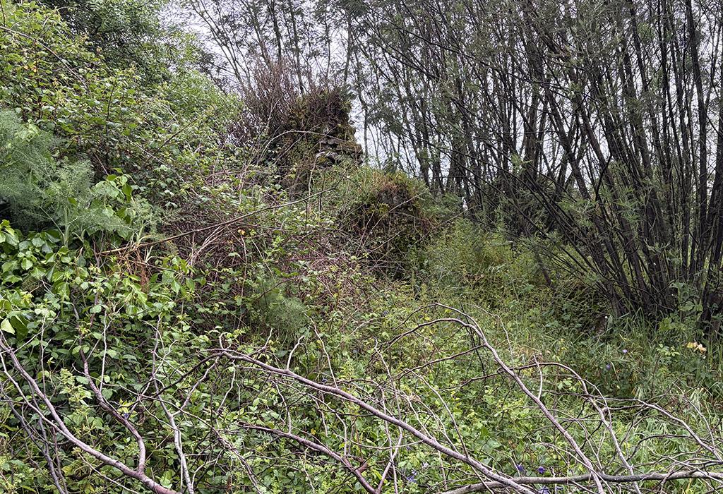 Telleira de Bamio - Vilagarcía de Arousa - San Xens de Bamio