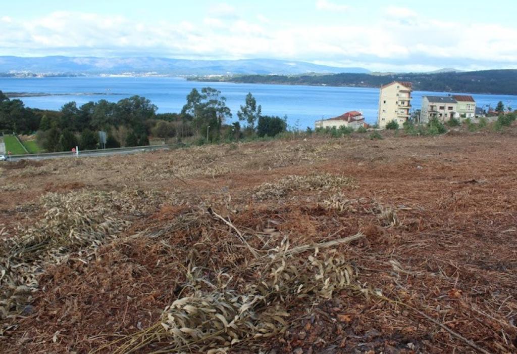 Torre do Meadelo - Vilagarcía de Arousa - San Xens de Bamio