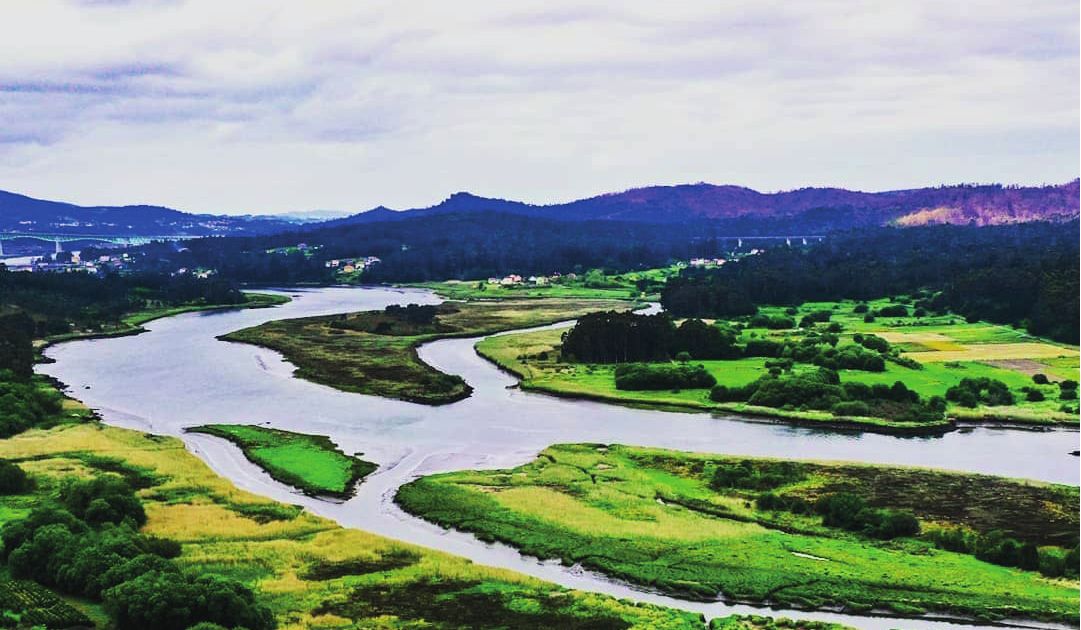 O río Ulla describe curvas entre xunqueiras e prados verdes antes de chegar á ría, con montes ao fondo.